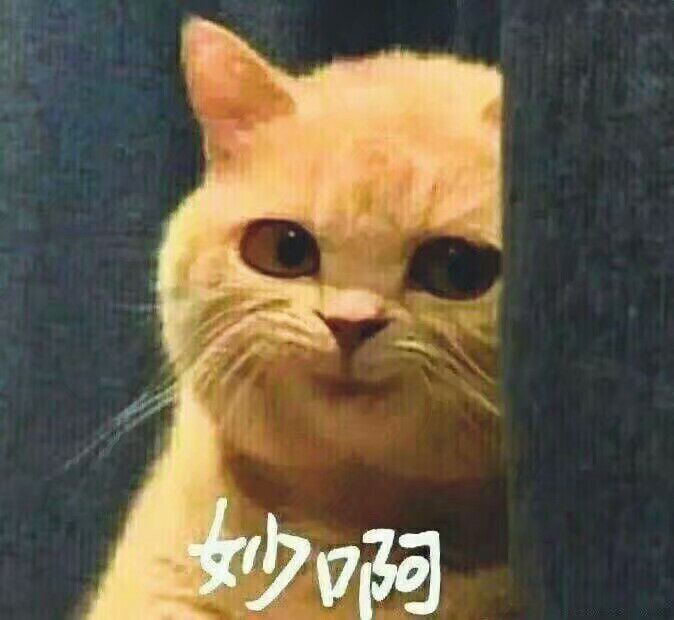 QQ图片20171122172534.jpg
